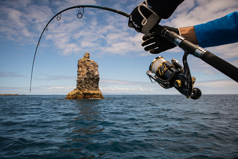 VIDEO Fisho and Garmin tackle New Zealand kingfish Fishing World
